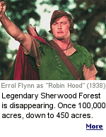 The forest is beloved for its connection to Robin Hood, the legendary 13th century bandit who supposedly hid there from his nemesis, the Sheriff of Nottingham, in between stealing from the rich and giving to the poor.